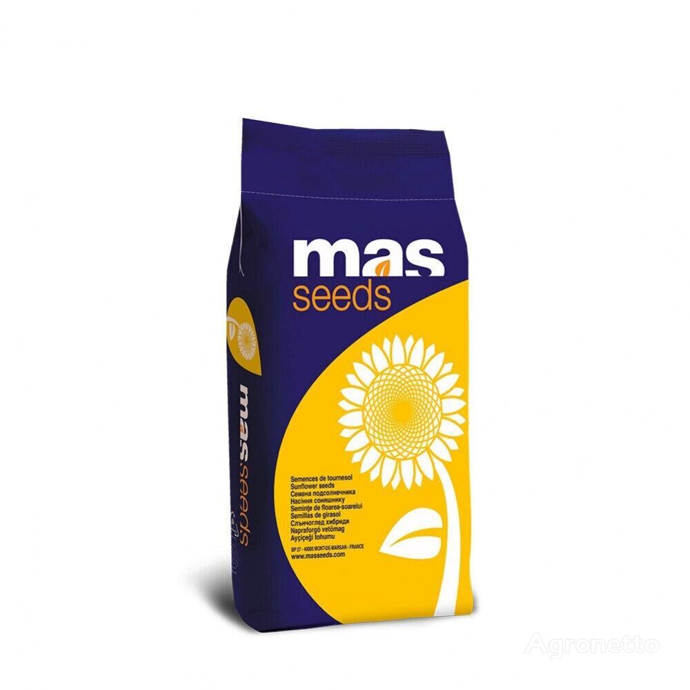 Семена подсолнечника МАС 81.K (MAS 81.K)